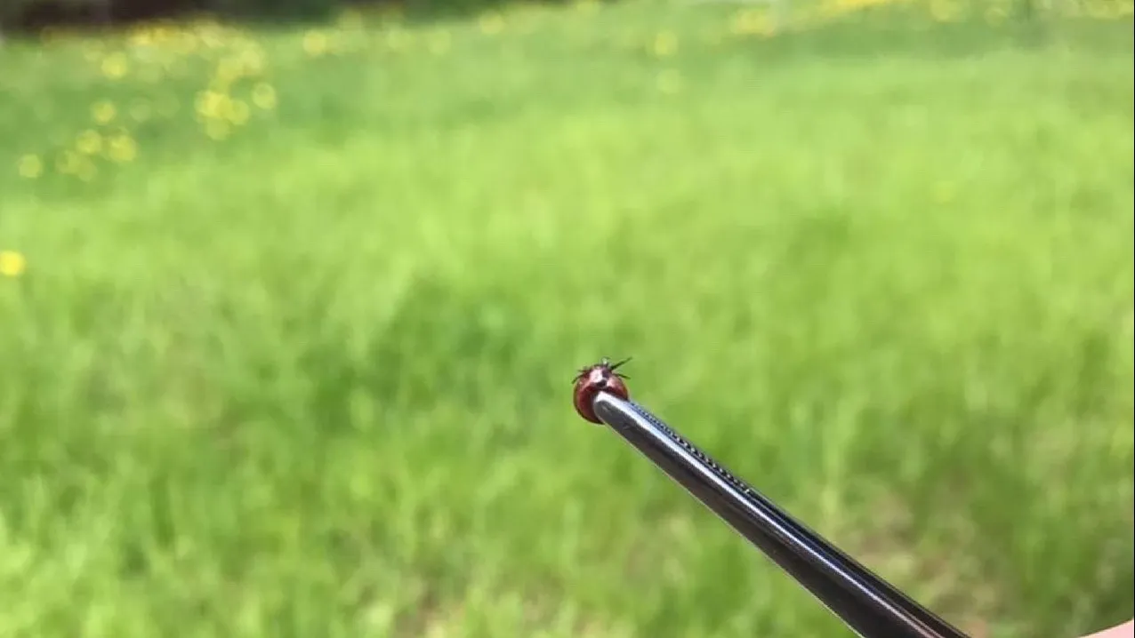 Фото: Министерство сельского хозяйства и продовольствия Московской области