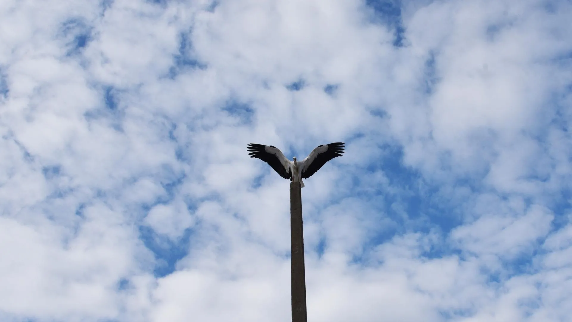 vk.com/ЛОТОШИНО МО