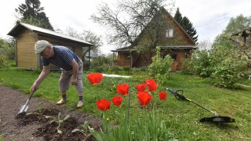 Пресс-служба губернатора и правительства МО