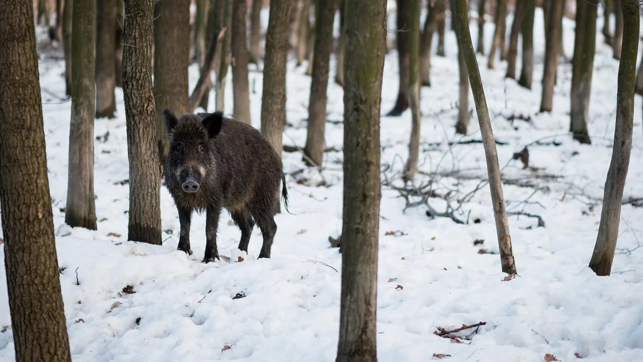 istockphoto.com/Kotenko_A