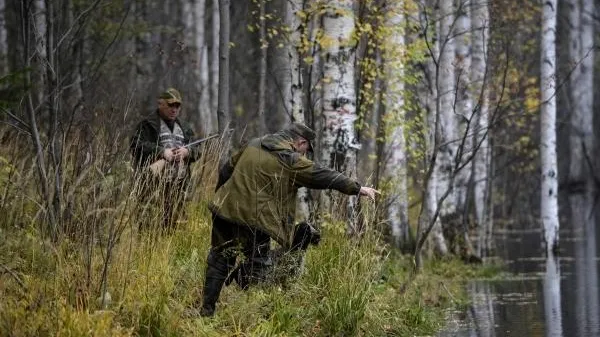 Количество нарушителей среди охотников в Подмосковье растет