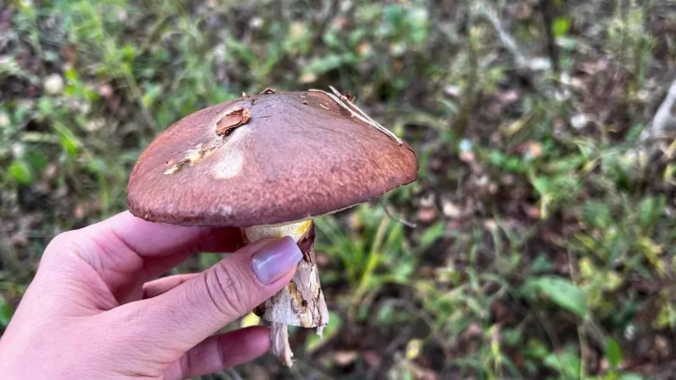 Фото: Анна Мороз