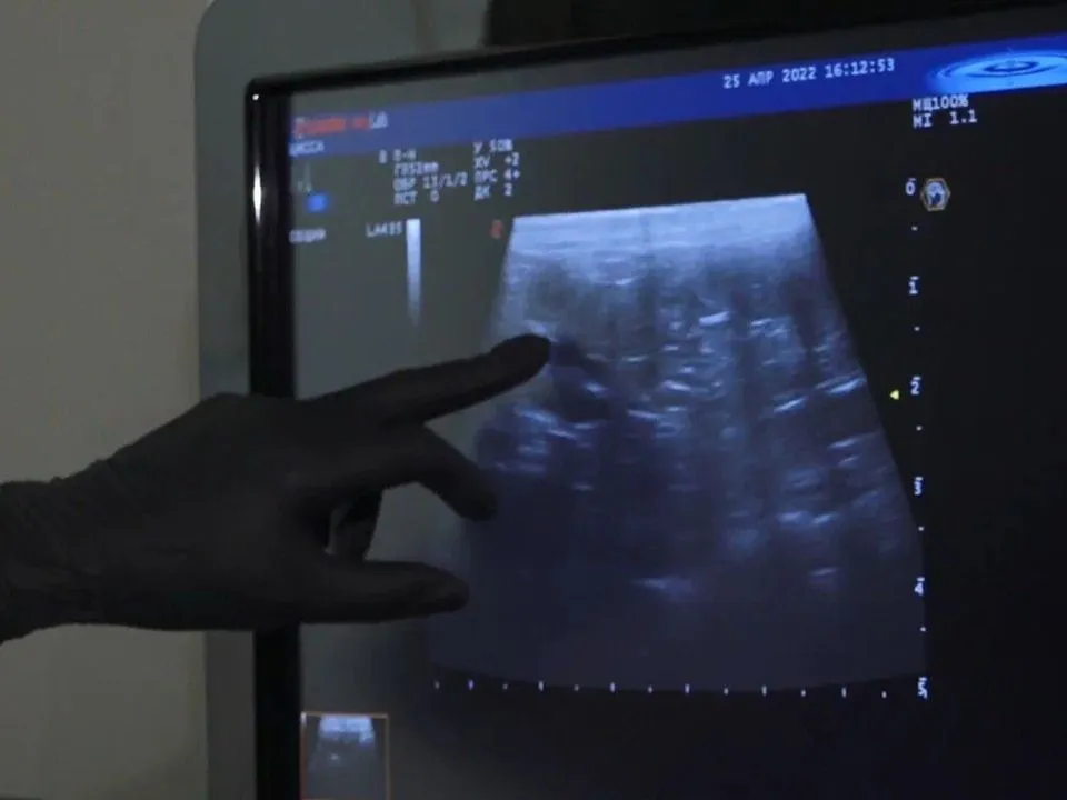 Фото: REGIONS/Наталия Надточая