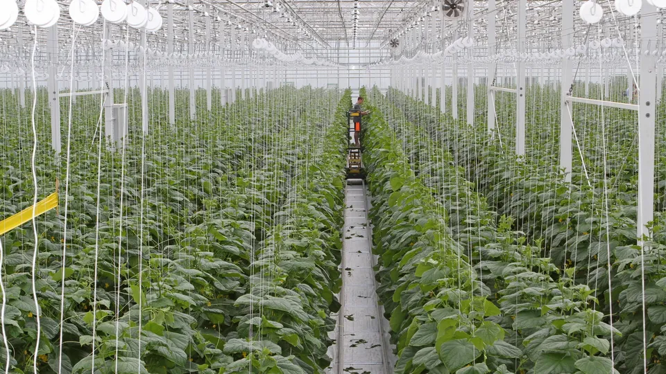 Фото: пресс-служба администрации м.о. Луховицы