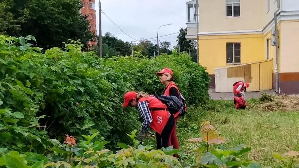 Фото: пресс-служба администрации г.о. Электросталь