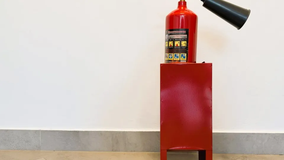 Фото: REGIONS/Илья Попов