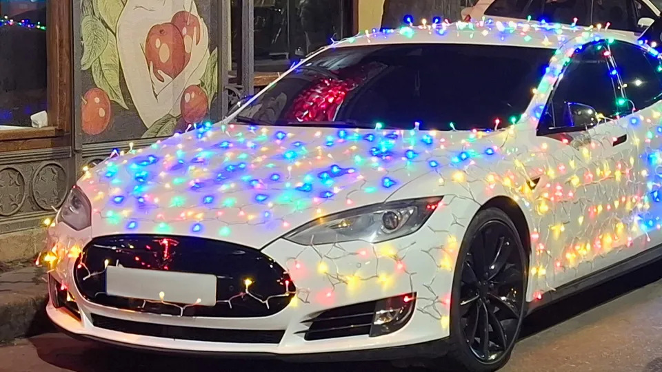 Фото: istockphoto.com/Oleksii Yankovoi