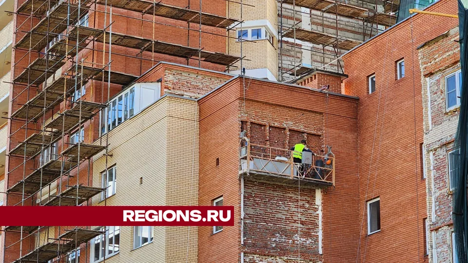 Фото: Дмитрий Алексеенко