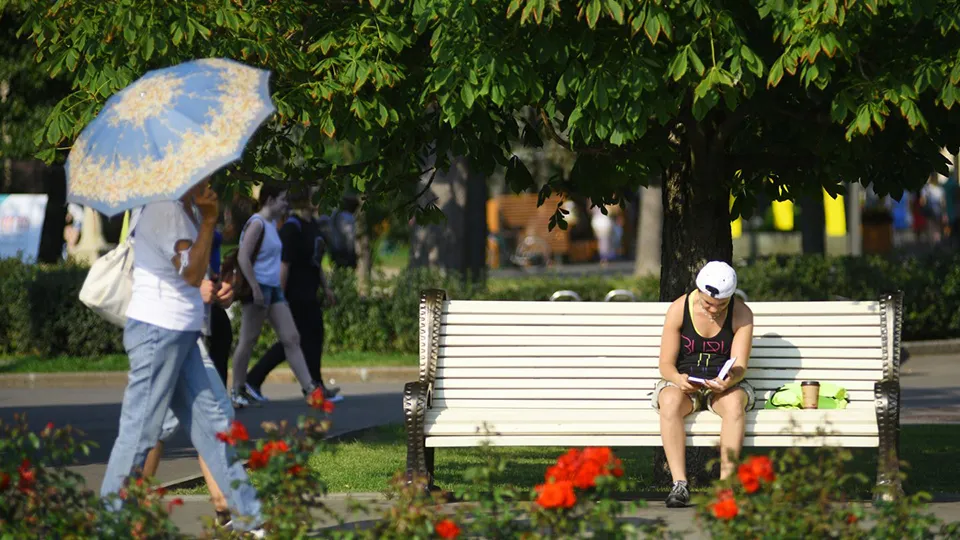 Фото: медиасток.рф