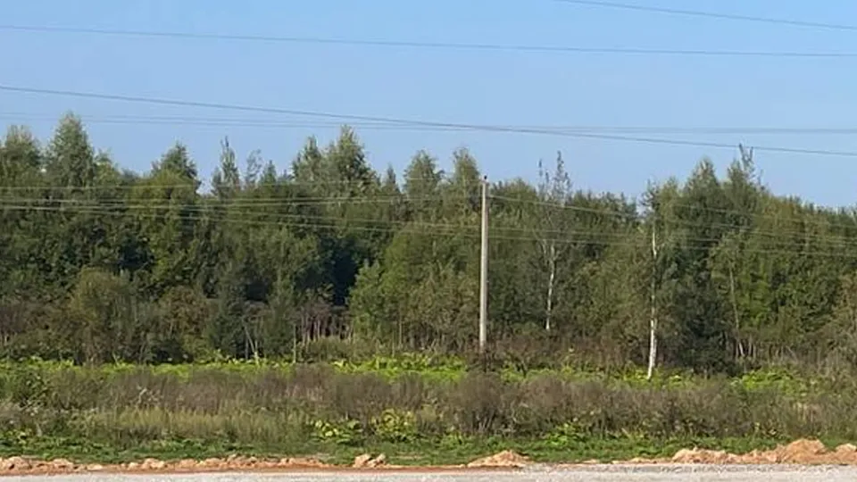 Фото: МедиаБанк Подмосковья/Евгений Рой