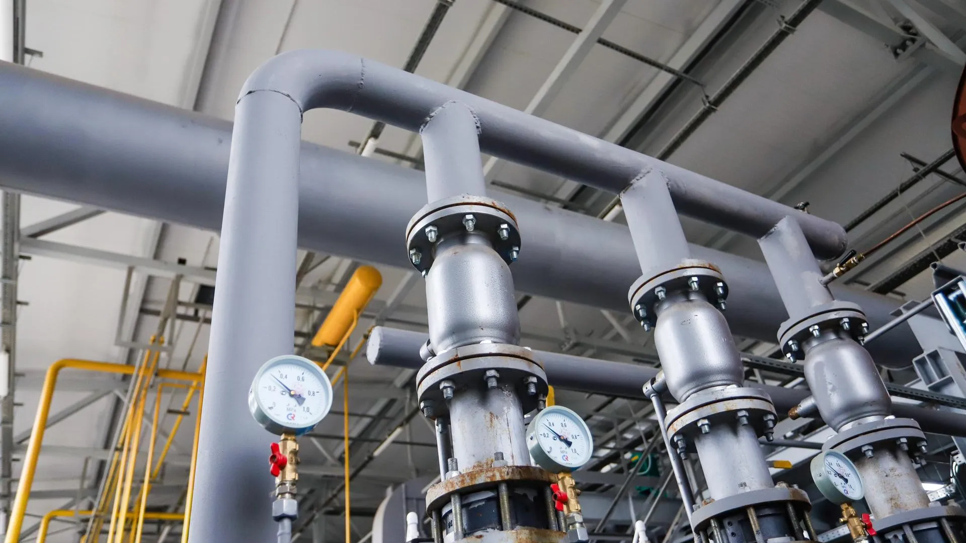 Виталий Ватулин