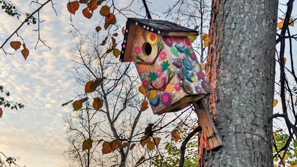 Фото: REGIONS/Алексей Селиверстов