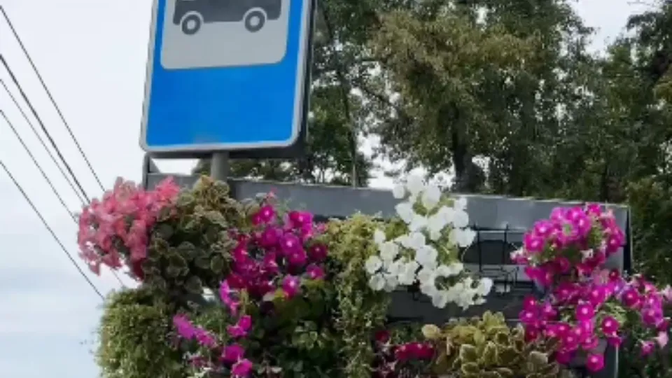 Фото: пресс-служба администрации г.о. Красногорск