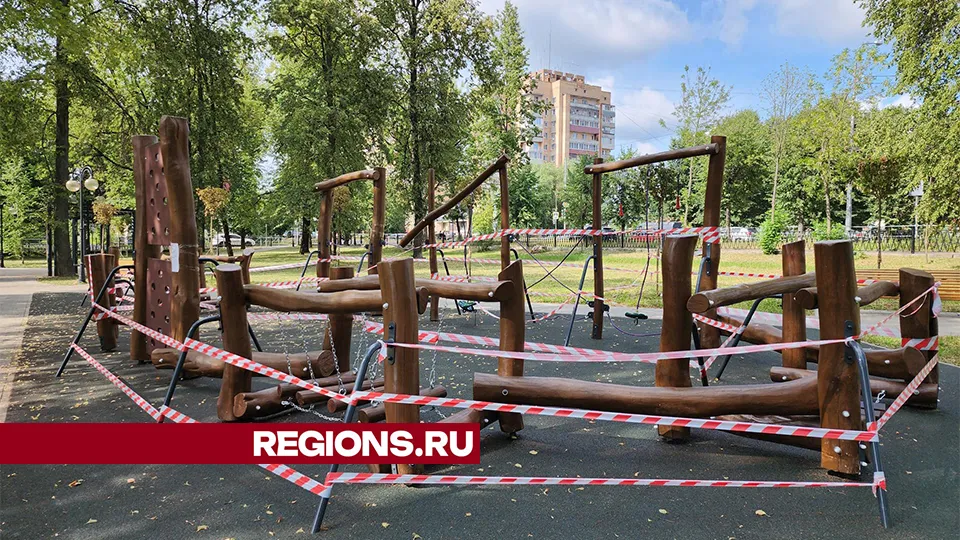 Фото: Александр Степушкин