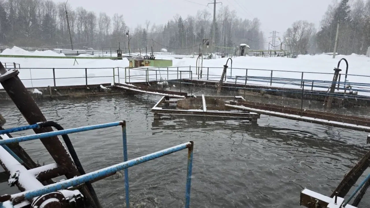 REGIONS/Яна Шаливская