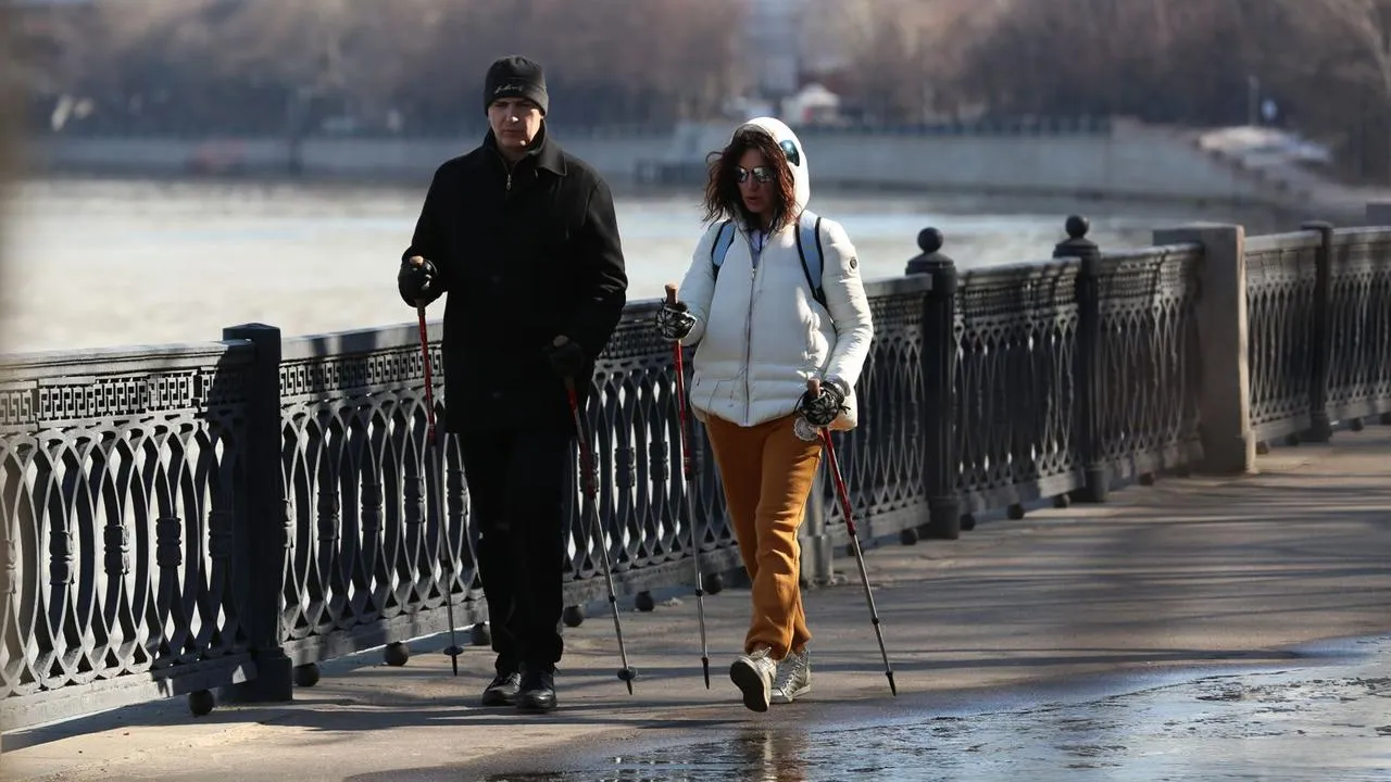 медиасток.рф