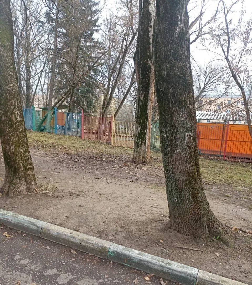 Фото: ГУСТ (территория после уборки)