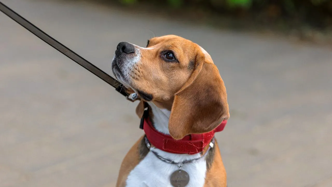 медиасток.рф