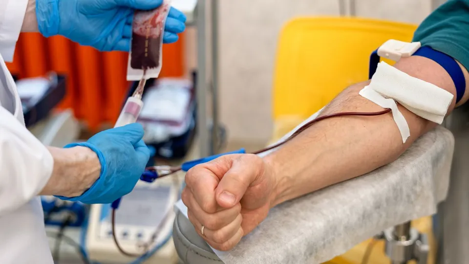 Фото: медиасток.рф