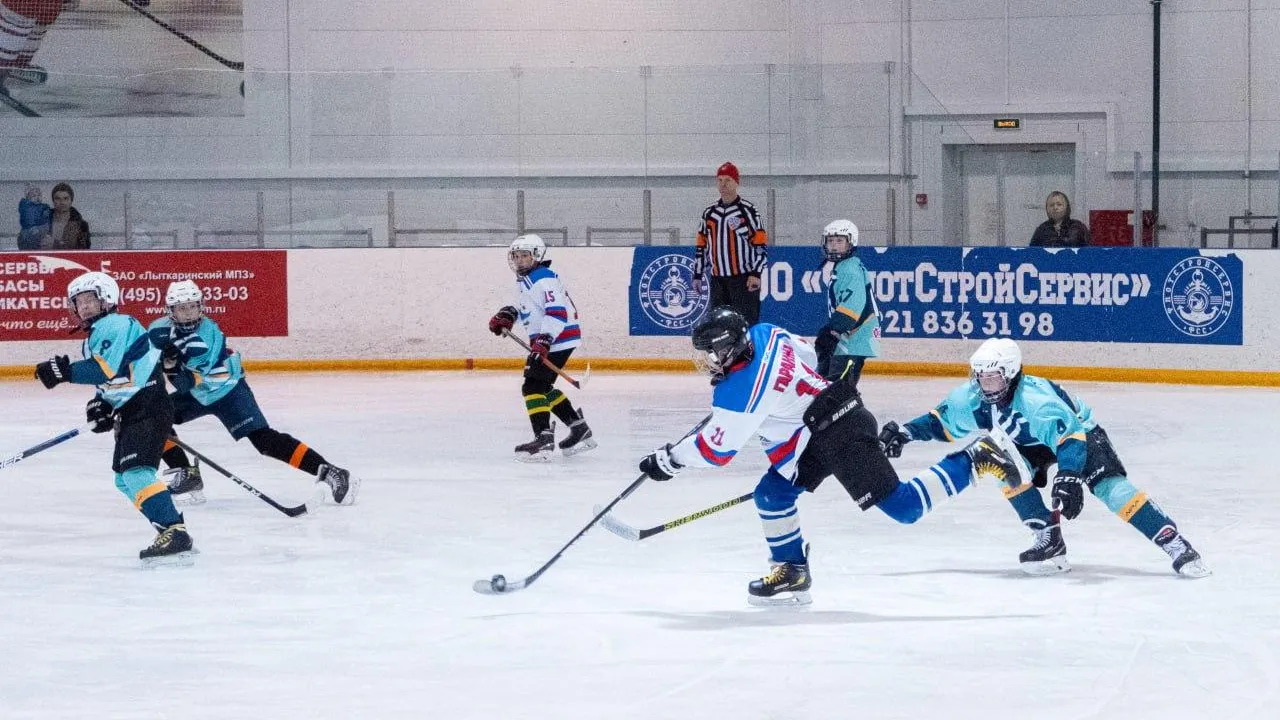 Фото: пресс-служба администрации г.о. Лыткарино