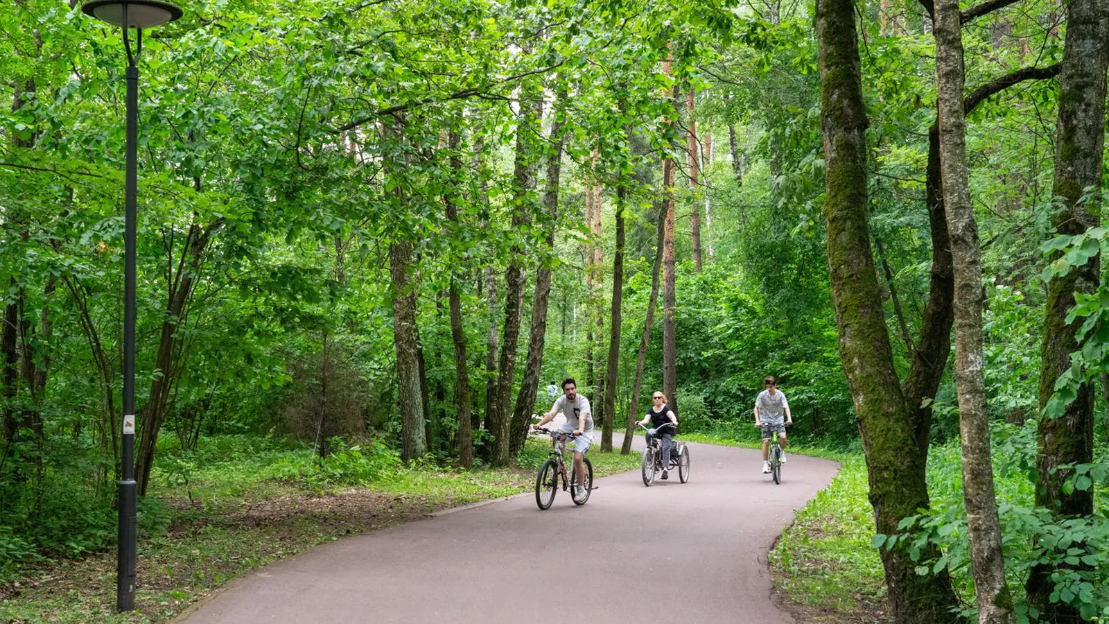 Фото: медиасток.рф