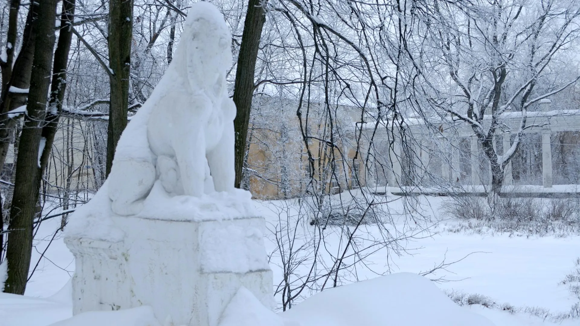 Фото Ирины Зуба