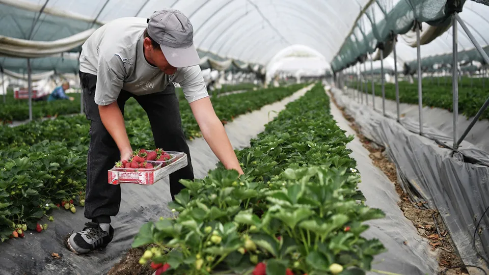 Фото: РИА Новости/Константин Михальчевский