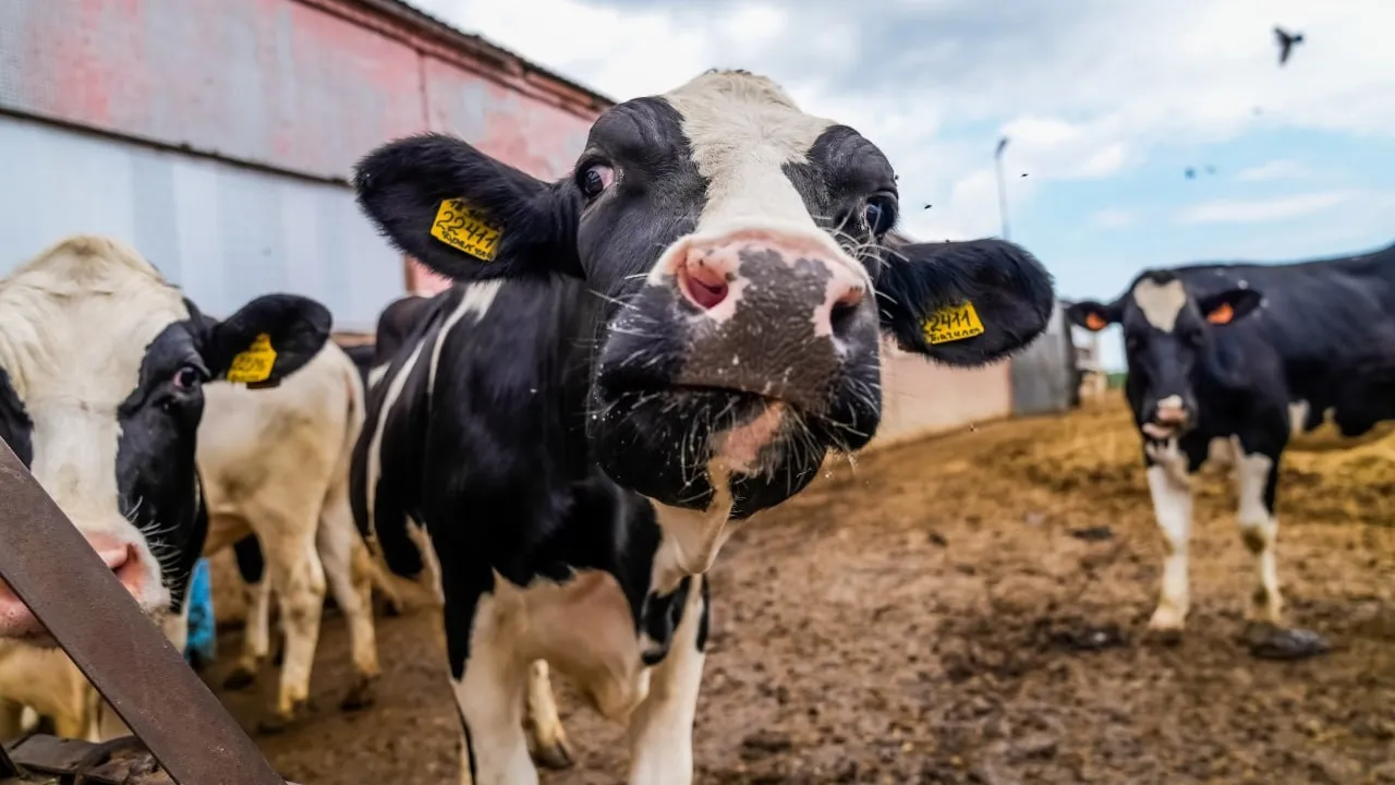 Фото: пресс-служба губернатора Московской области