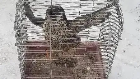 Прокуратура Красноярского края