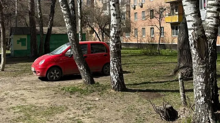 Народные инспекторы обнаружили свыше шести тысяч случаев парковки на газонах в Подмосковье