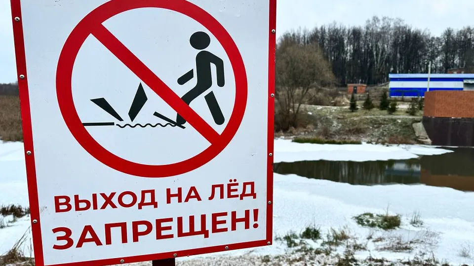 Фото: МедиаБанк Подмосковья/Лилия Закирова