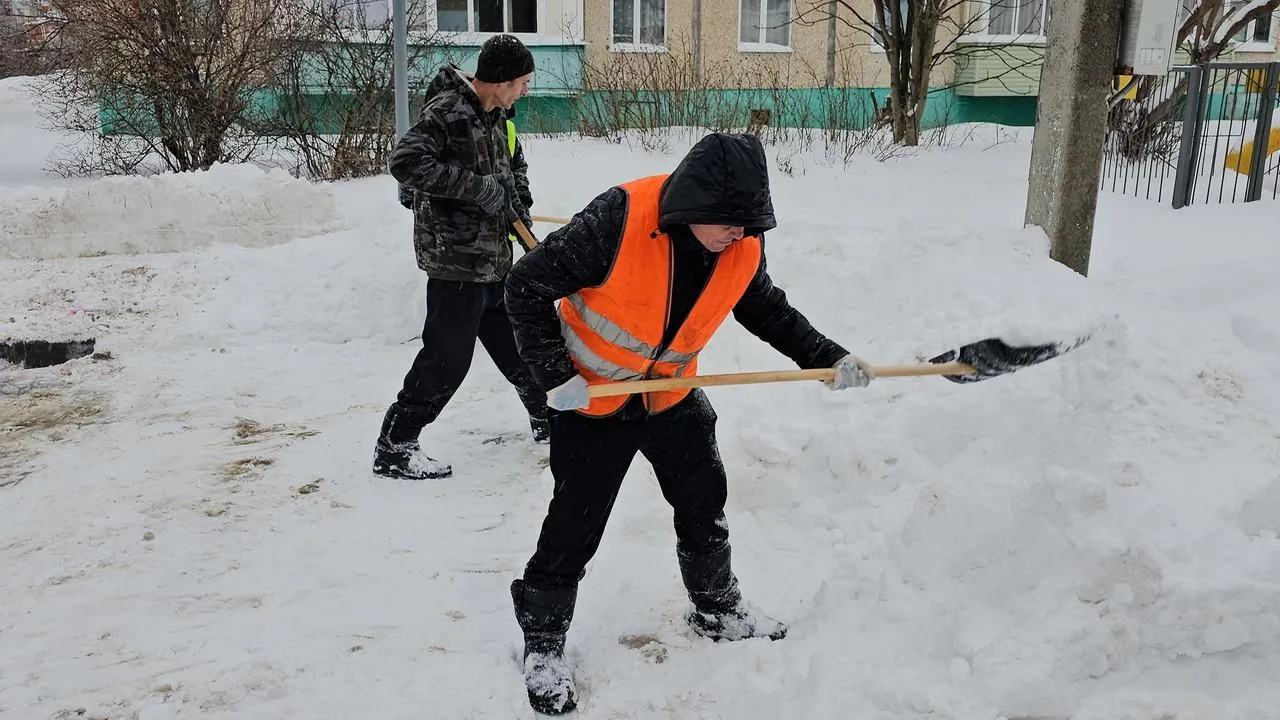 REGIONS/Александр Дрожжин