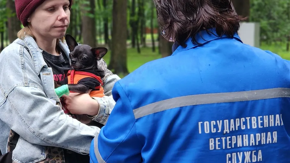 Фото: МедиаБанк Подмосковья/Валерия Тингаева