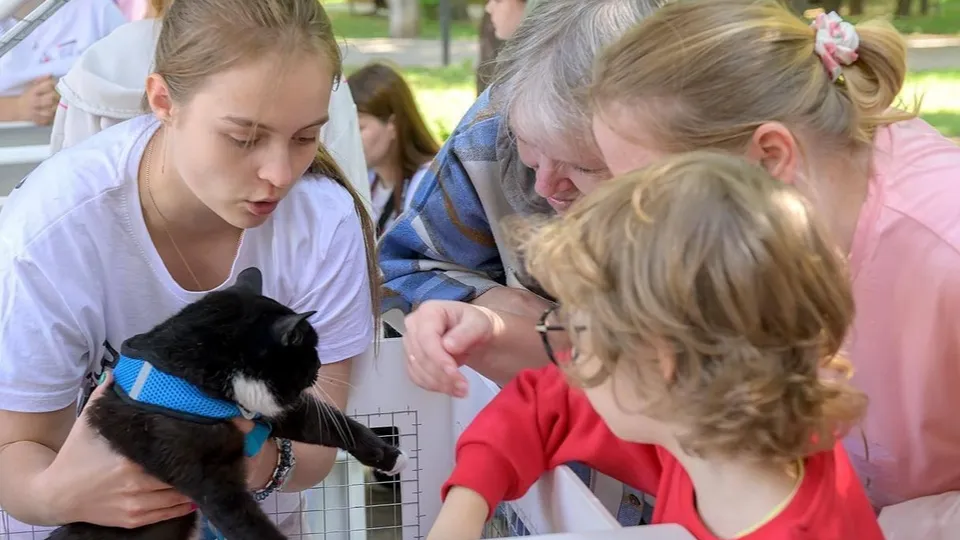 Фото: пресс-служба администрации г.о. Подольск