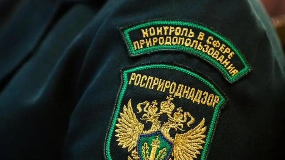Фото: официальный сайт Росприроднадзора