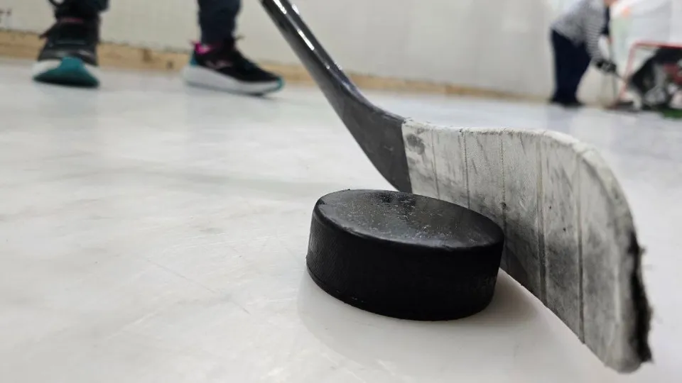 Фото: МедиаБанк Подмосковья/Яна Шаливская