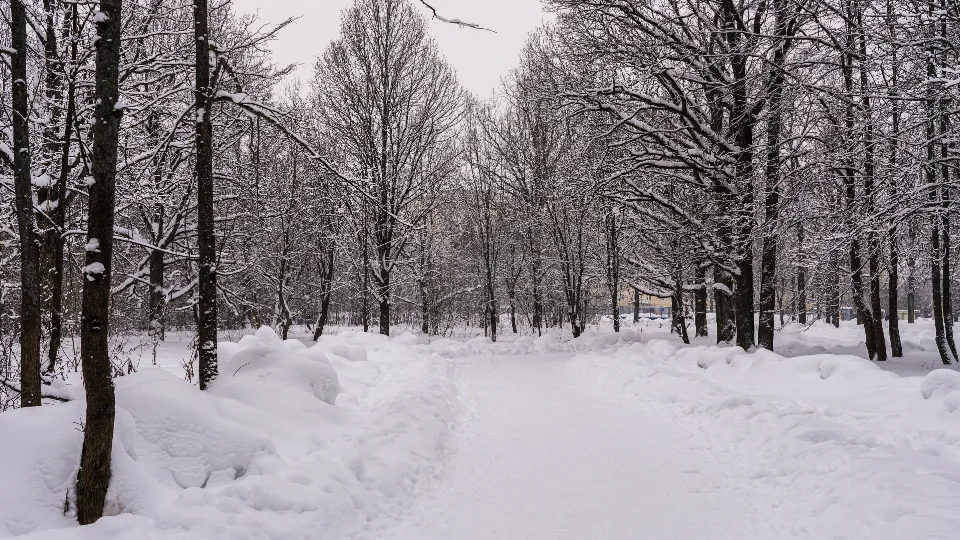 Фото: медиасток.рф