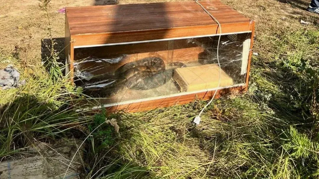 фото: Мособлпожспас