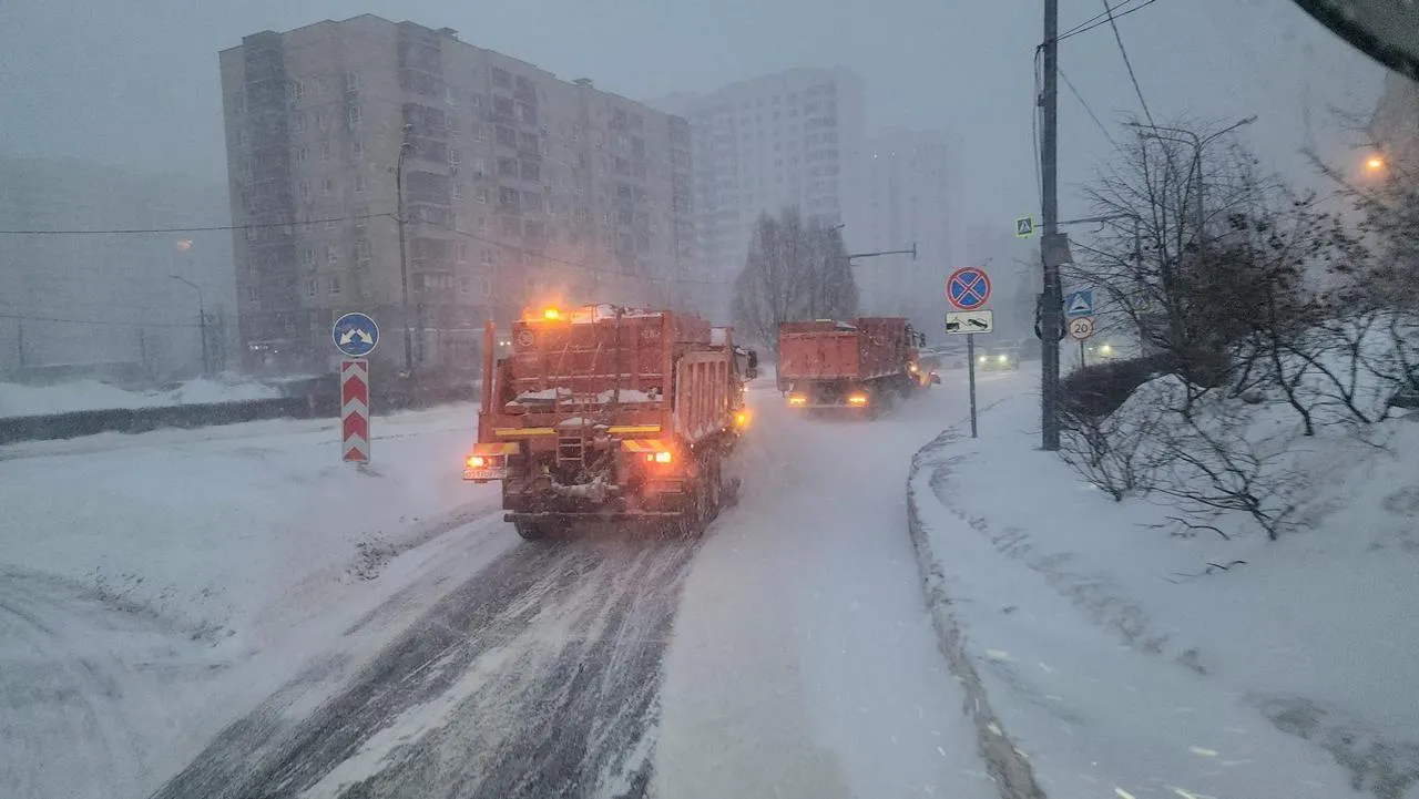 МедиаБанк Подмосковья/Валерия Исаева
