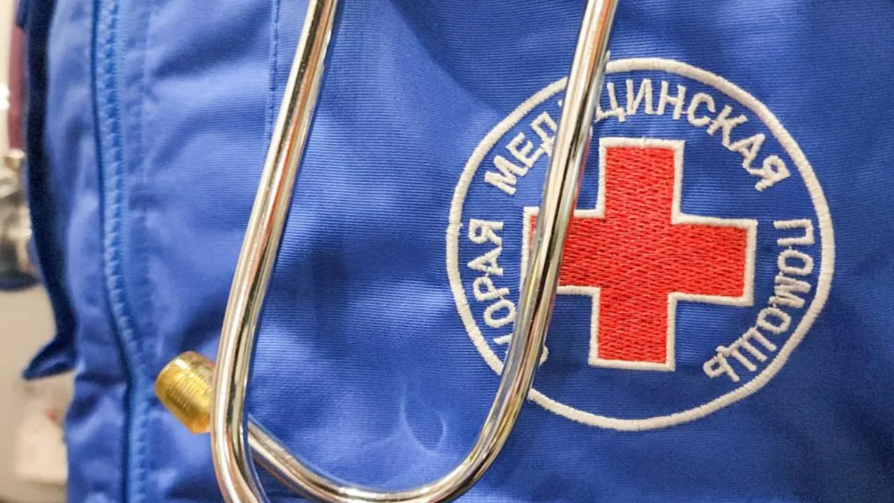 МедиаБанк Подмосковья/Мария Андрюхина