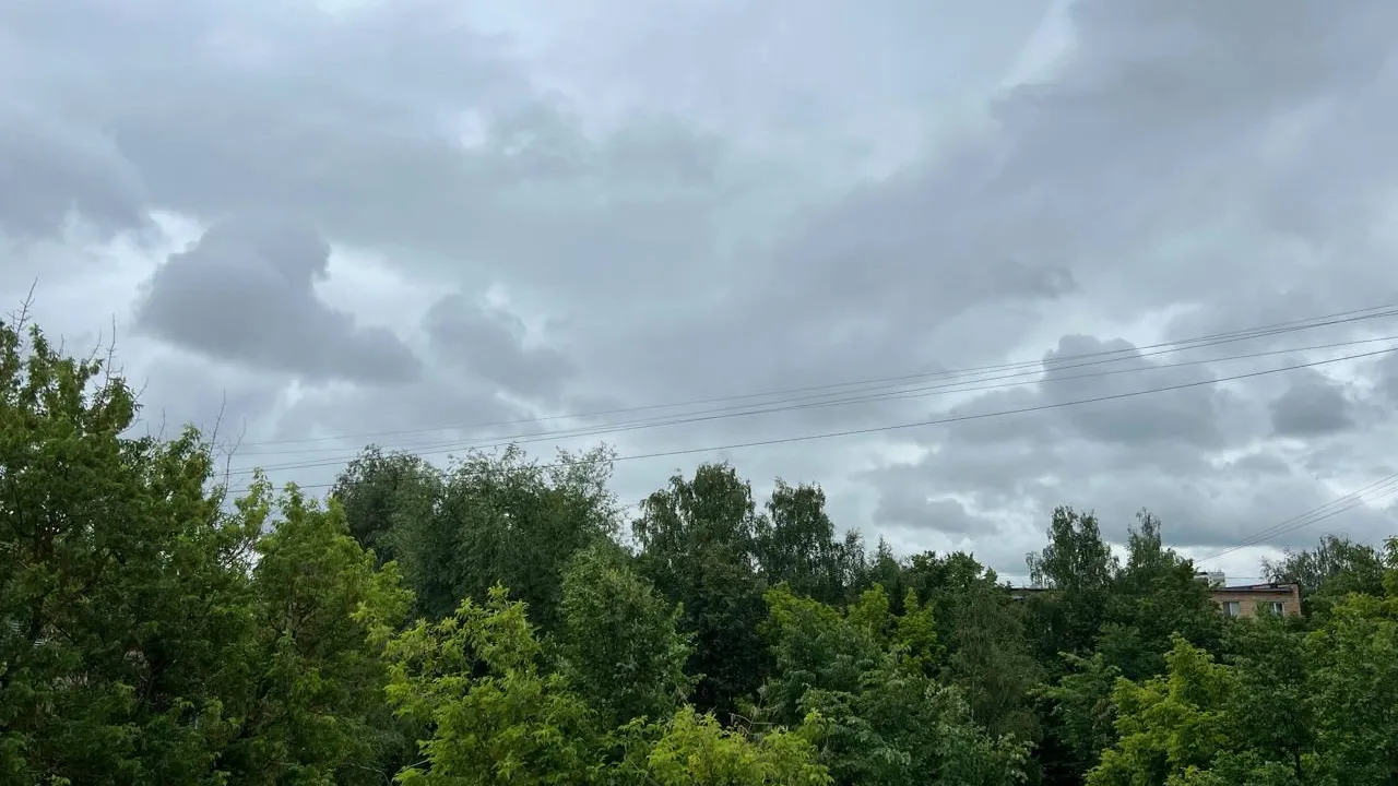 Фото: REGIONS/Татьяна Кордюкова