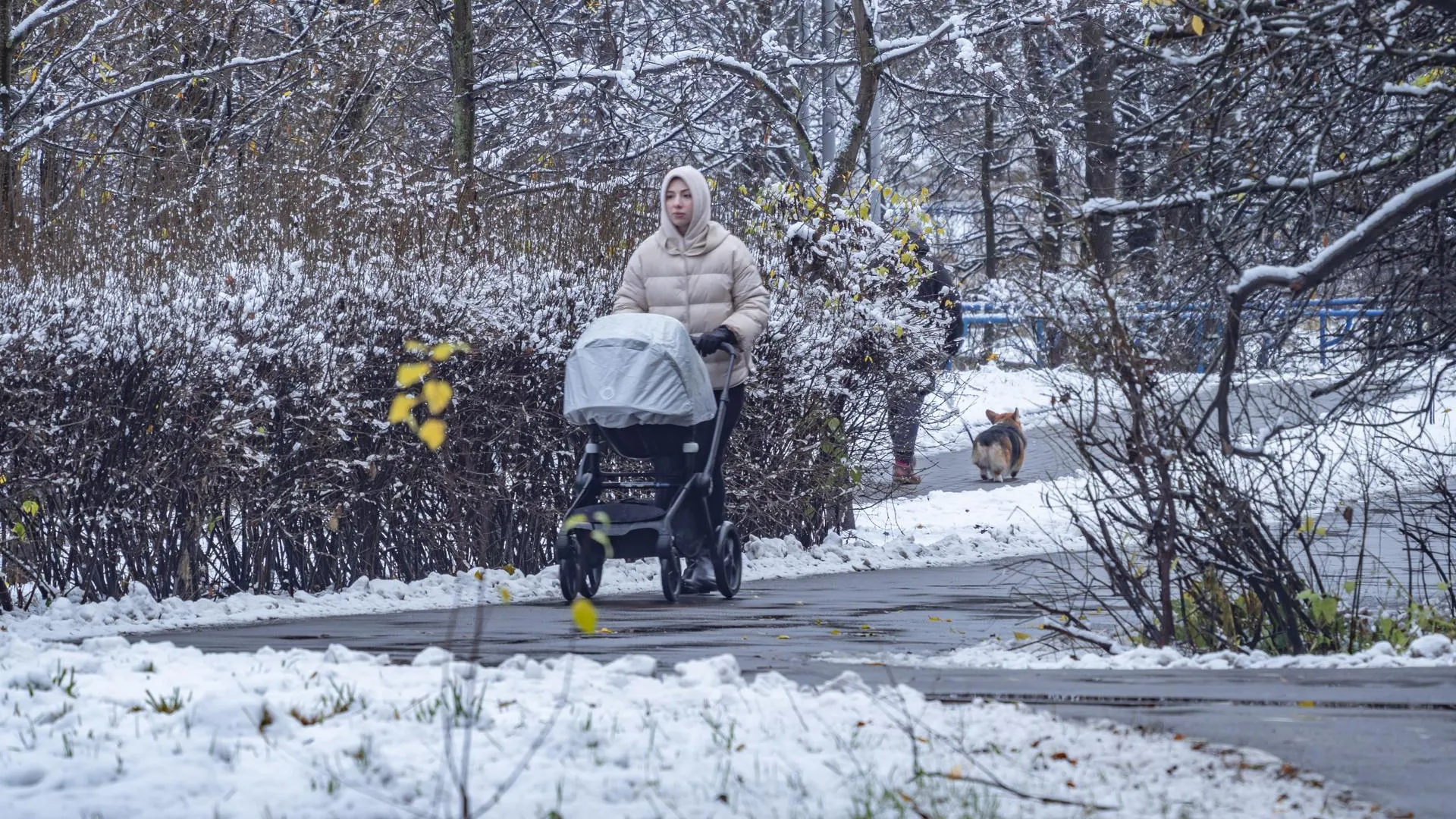 Konstantin Kokoshkin/Global Look Press