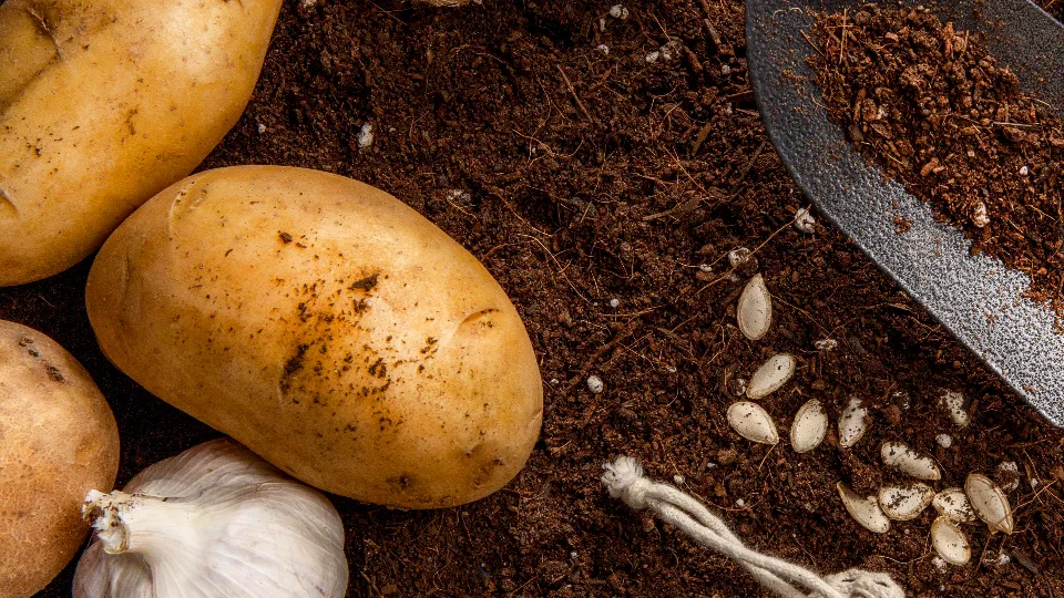 Фото: freepik.com