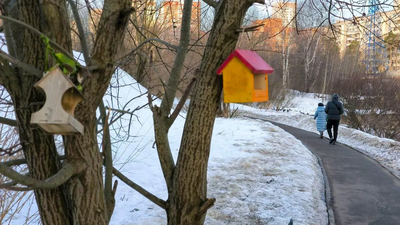 REGIONS/Роман Малышенко