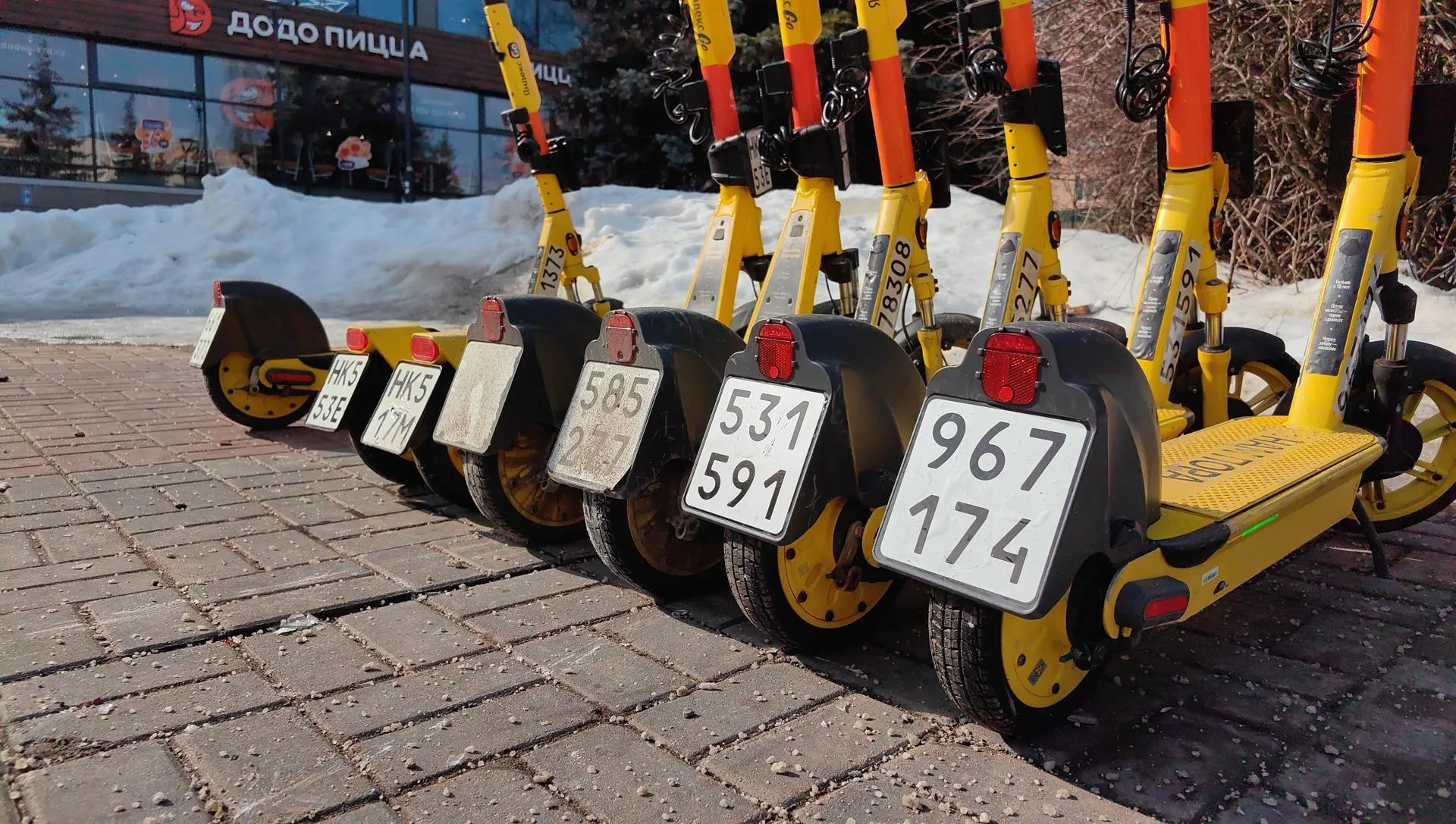 Елена Катасонова