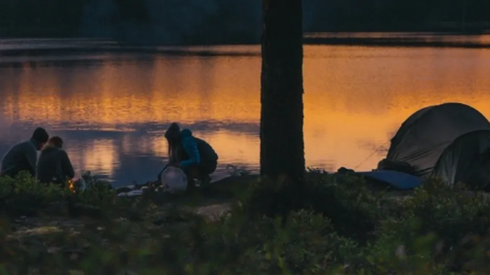 Фото: pxhere.com