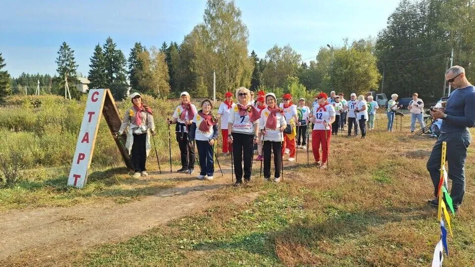 Фото: Министерство социального развития Московской области