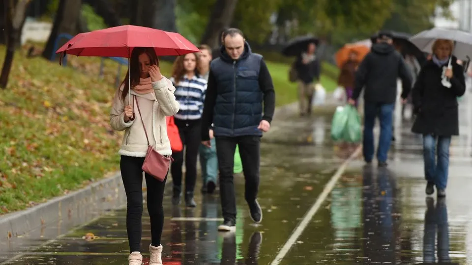 Фото: медиасток.рф