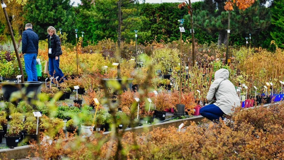 Фото: пресс-служба администрации г.о. Химки