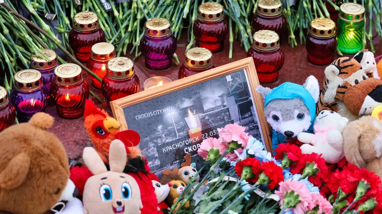 Фото: администрация г.о. Подольск